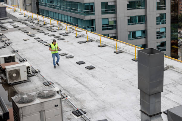 Best Cold Roofs  in Greer, SC