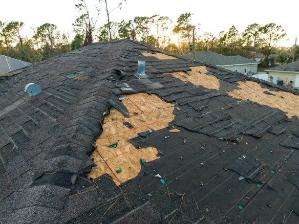 Best Roof Coating and Sealing  in Greer, SC